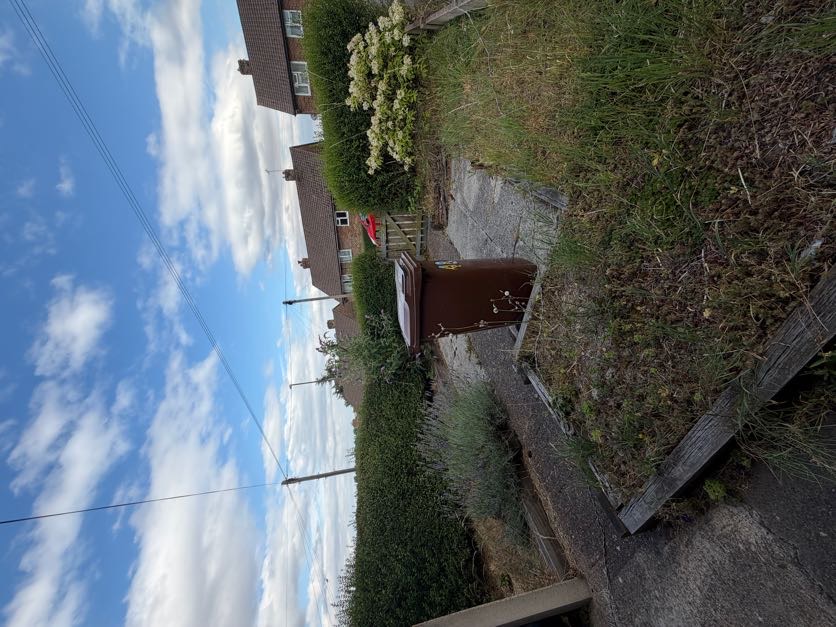 Garden in Derby before tidy-up: overgrown borders and untidy lawn