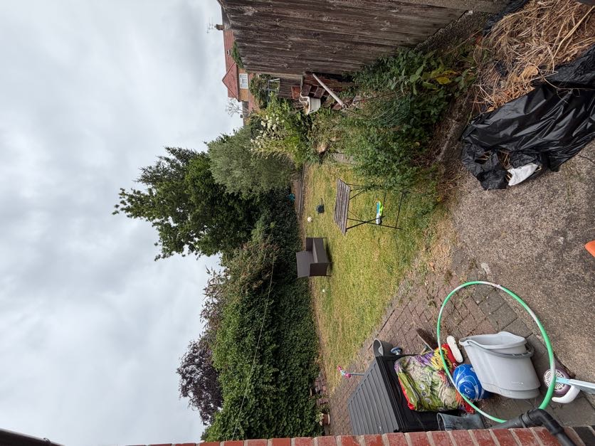 Garden in Derby before tidy-up: overgrown and untidy
