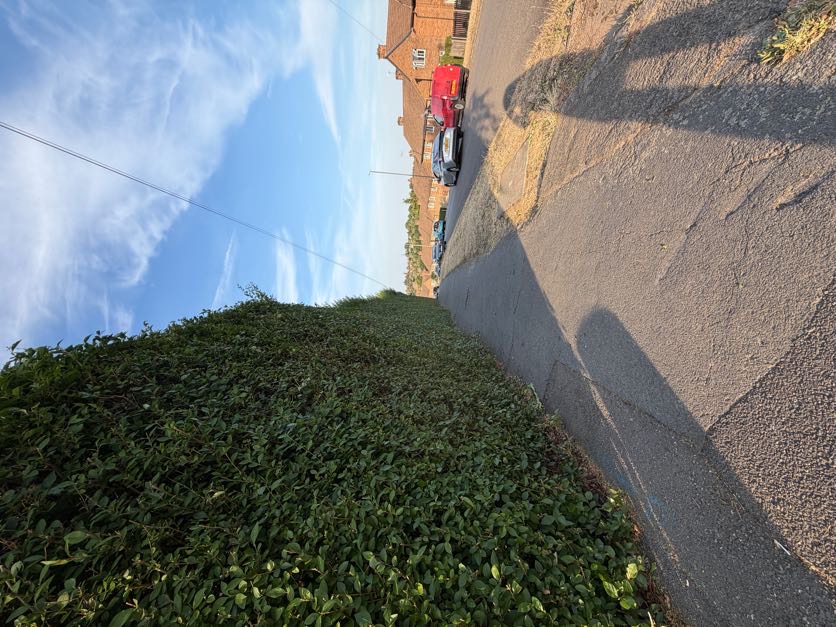 Freshly trimmed hedge in Derby with a level top and sharp, neat sides